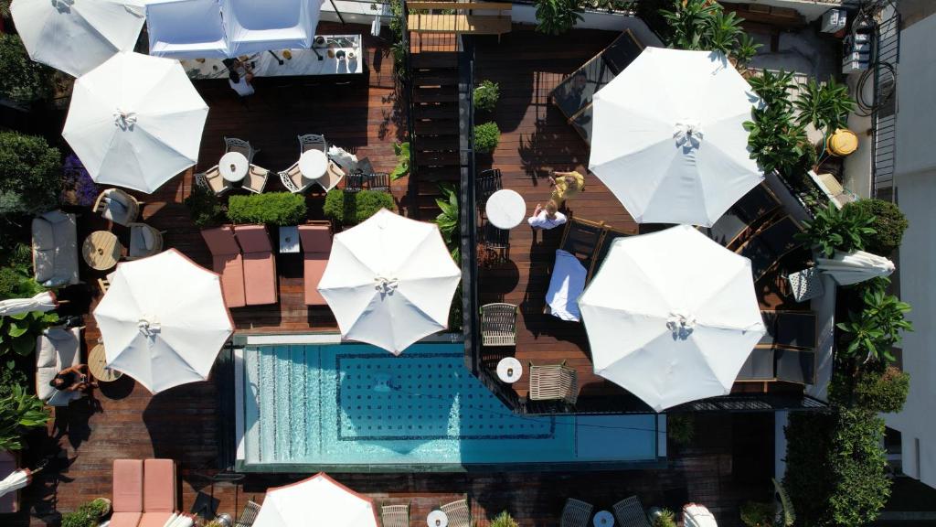 Rooftop & Pool